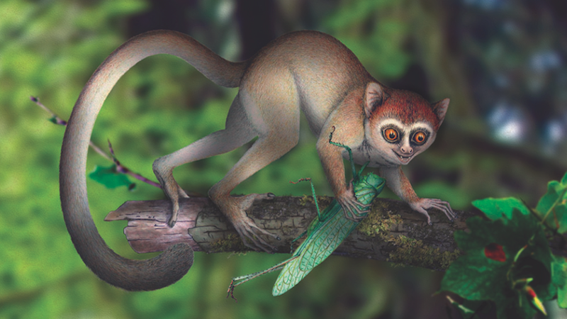 Illustration for article titled The Biggest Science Stories of 2013